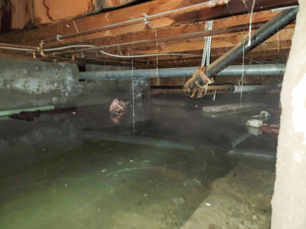 Reliable Amity Gardens, PA Water damage restoration Solutions