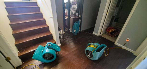 Trusted Amity Gardens, PA Water damage restoration Experts
