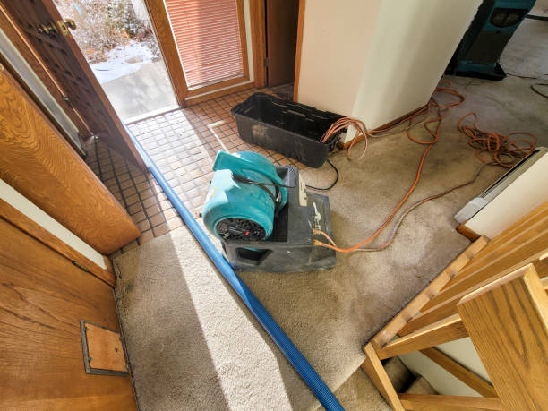 Best Ceiling water damage repair  in Amity Gardens, PA