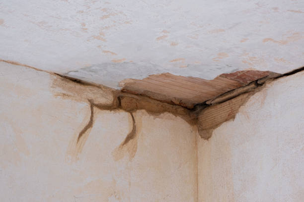 Best Basement water damage restoration  in Amity Gardens, PA