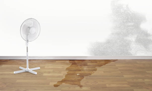 Best Carpet water damage restoration  in Amity Gardens, PA