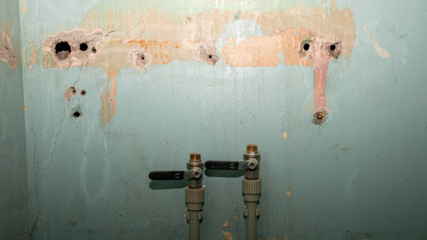 Best Emergency water damage restoration  in Amity Gardens, PA