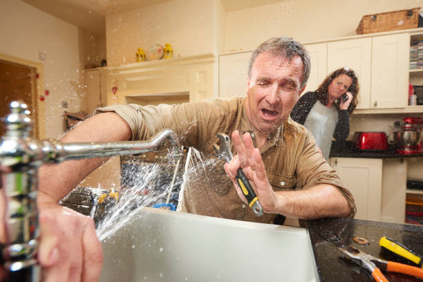 Best Professional water damage repair  in Amity Gardens, PA